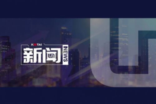 AI驱动新增长，扣非净利提升10%，555000jcjc公海数码2025一季度稳健开局